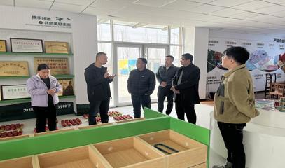 专家技术指导守护种业安全 技术推广服务