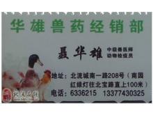 耕耘现代化 广西北流市农机化技术推广服务站的创新实践