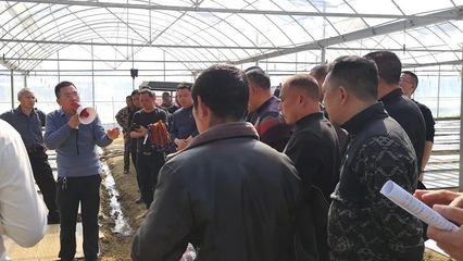 “DMC”技术在平江首次亮相 开启技术推广服务新篇章